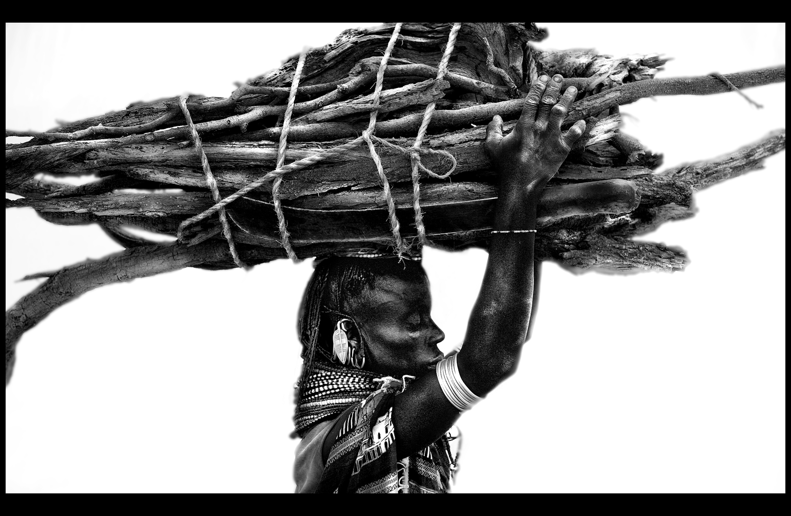 Firewood